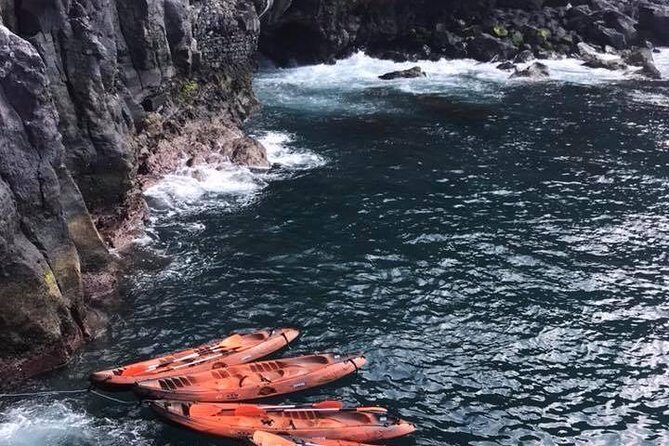 Half day kayak tours - Private Kayak to Snorkel and Cliff Dive: What You’re Signing Up For