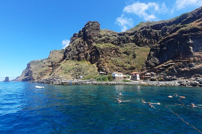 Half Day Madeira Island Cruise with Lunch - Wildlife Chances: Dolphins, Whales, and Turtles Without the Pressure