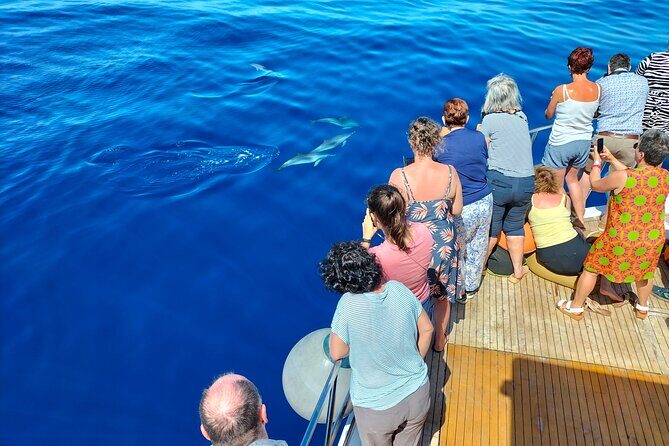 Half Day Madeira Island Cruise with Lunch - Price and Value at $83.87: What You’re Really Paying For