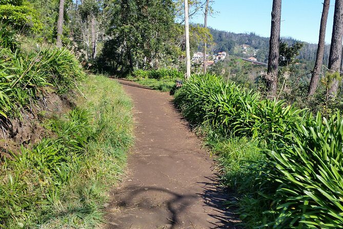 Half-Day Paradise Valley Walking Tour - Quick Hits: What You’ll Notice on This Paradise Valley Walk