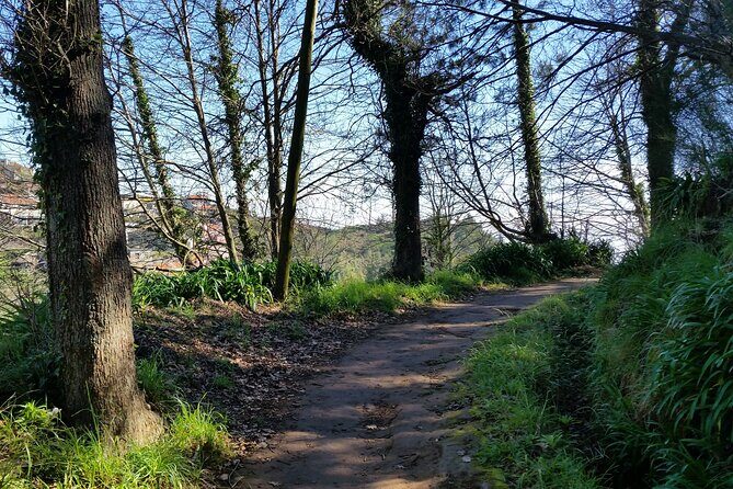 Half-Day Paradise Valley Walking Tour - The scenery over Camacha: the payoff on this short walk