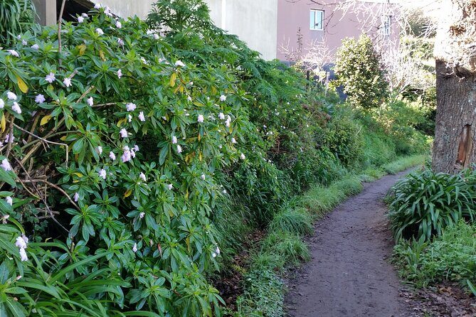 Half-Day Paradise Valley Walking Tour - The included wooden staff and what it signals
