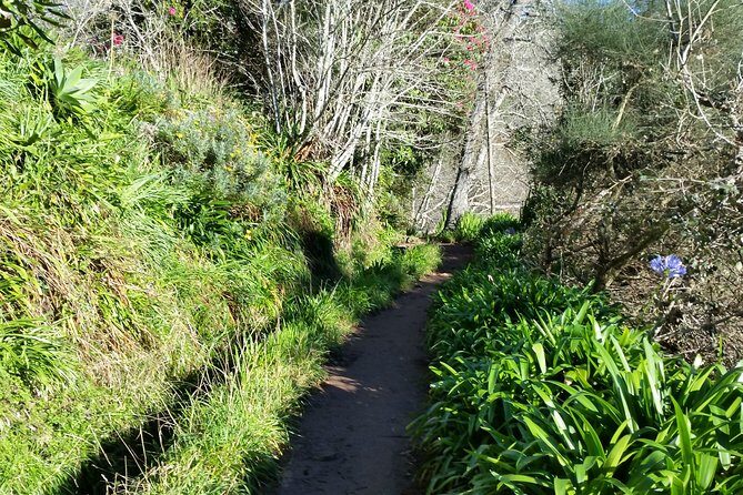 Half-Day Paradise Valley Walking Tour - Pickup and meeting point: how to start without stress