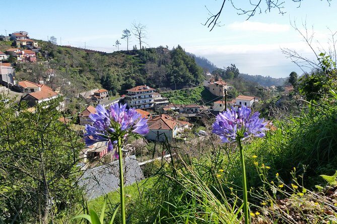 Half-Day Paradise Valley Walking Tour - What the “easy walk” actually means for you