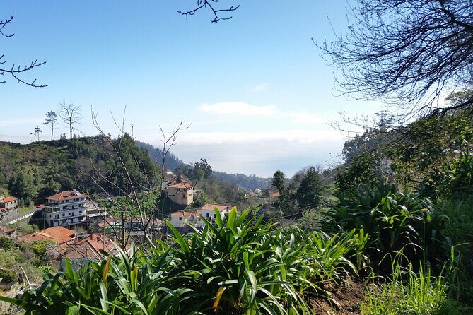 Half-Day Paradise Valley Walking Tour - Timing and how to fit it into a Madeira day