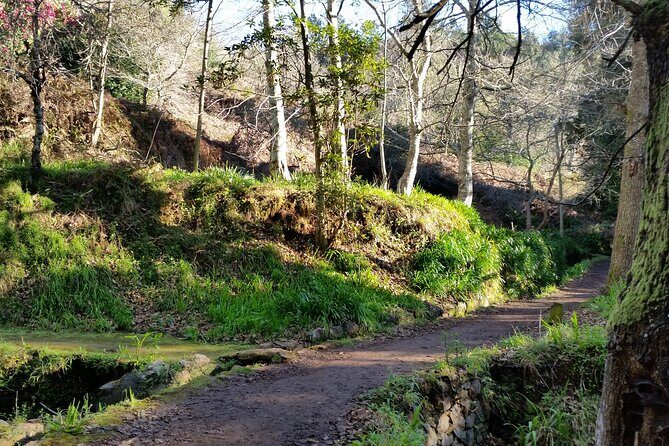 Half-Day Paradise Valley Walking Tour - Terraces, agriculture, and the living “why” of the countryside