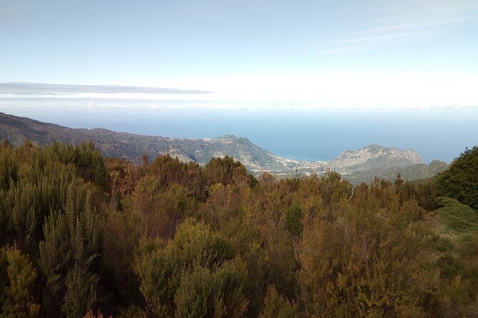 Half-Day Private Sidecar Tour on Madeira’s West Coast - Quick practical tips before you go