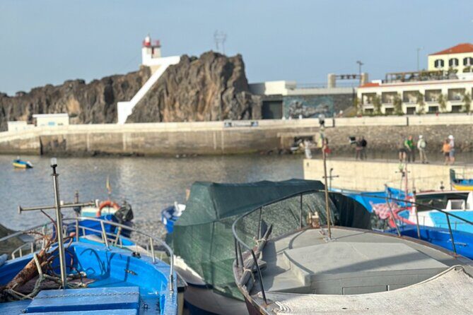 Half Day Tour with Madeira Wine Tasting - Stop 1: Baía de Câmara de Lobos and the Fishing-Boat Feel