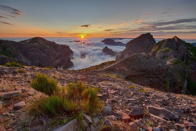 Heavens Tour: Sunset & Stargazing in Madeira - Price and value: $414 per group, what that means in practice