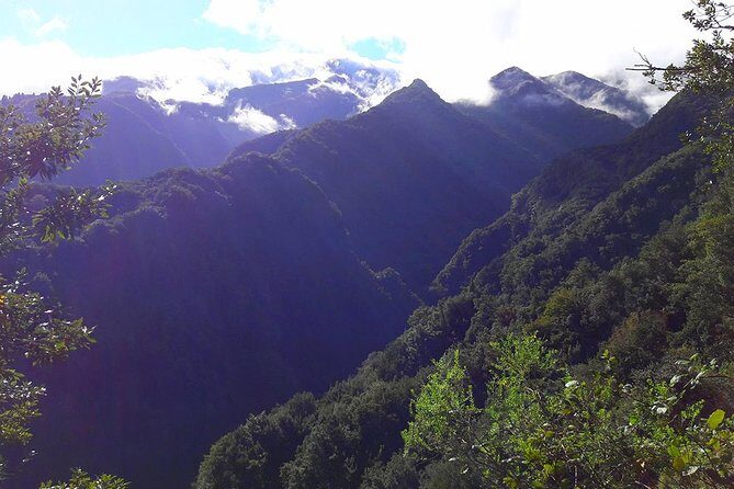 Hidden Corners: Levada Walk from Funchal - Levada Walk 101: What You’re Actually Following (and Why It Matters)