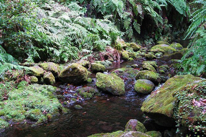 Hidden Corners: Levada Walk from Funchal - Levada Do Rei: How the Walk Unfolds Across the Day