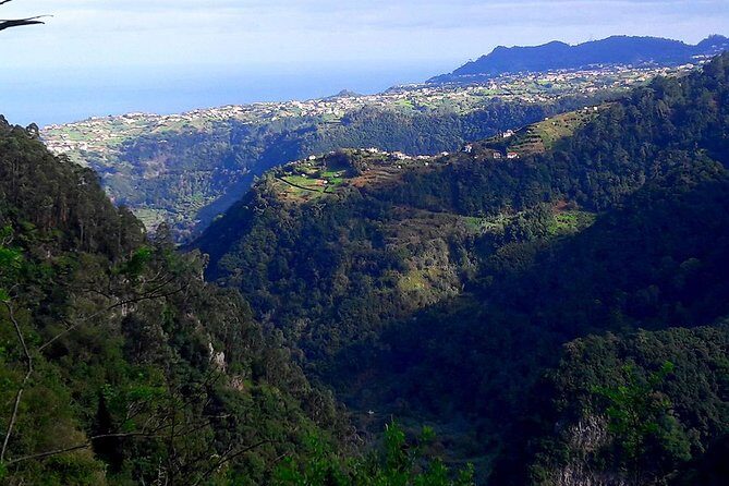 Hidden Corners: Levada Walk from Funchal - Plants, Herbs, and Medicinal Traditions You Can Spot With Your Eyes