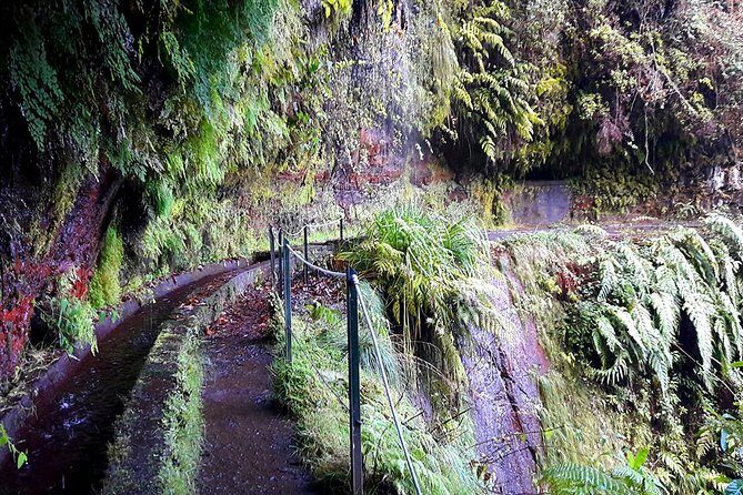 Hidden Corners: Levada Walk from Funchal - The Waterfall Moment: Where You Can Go Behind the Falls