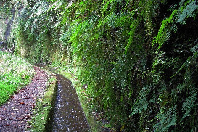 Hidden Corners: Levada Walk from Funchal - What to Pack for an 8-Hour Levada Day (No “Buy It Later” Option)