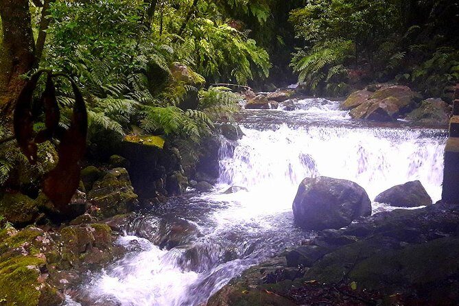 Hidden Corners: Levada Walk from Funchal - Price and Value: What $51.61 Gets You (and What It Doesn’t)