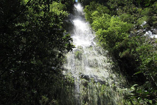 Hidden Corners: Levada Walk from Funchal - São Jorge Valley on Foot: The Scenery You’ll See (and the Reality of Weather)