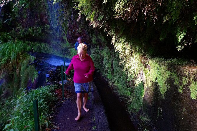Hike in Laurisilva Levada do Rei - Madre of Life small Group guided walk - Key Highlights You’ll Actually Feel During This Walk