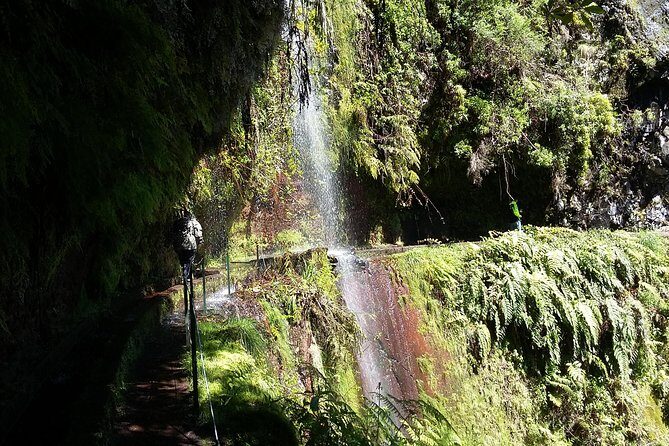 Hike in Laurisilva Levada do Rei - Madre of Life small Group guided walk - Why Levada do Rei Feels Like the Best Kind of Madeira Day