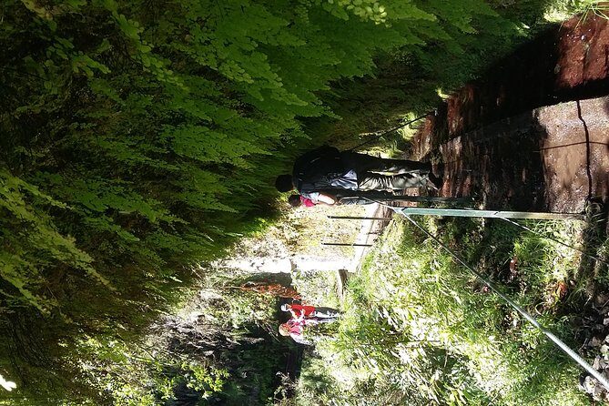 Hike in Laurisilva Levada do Rei - Madre of Life small Group guided walk - Walking the Levada Do Rei North-to-South: What You’ll Feel in the Woods