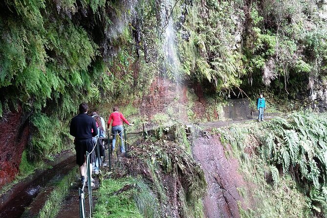 Hike in Laurisilva Levada do Rei - Madre of Life small Group guided walk - Food and Drinks: Plan This Like a Real Hike Day