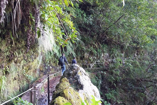 Hike in Laurisilva Levada do Rei - Madre of Life small Group guided walk - Guides, Route Safety, and Why This Is Better Than Self-Guiding