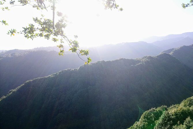 Hike in Laurisilva Levada do Rei - Madre of Life small Group guided walk - Pickup, Timing, and What a 7 to 8 Hour Day Really Means