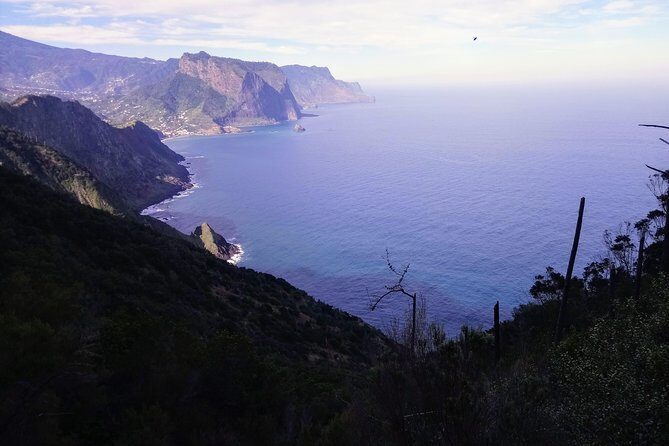 Hike Larano, Boca do Risco Porto da Cruz Levada in a small group - Price value: what $95.12 really buys (and what costs extra)