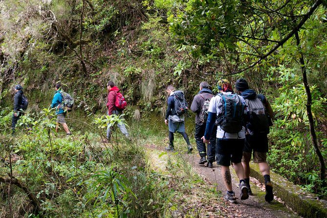 Hiking and Trekking tours in Madeira - Key things I’d watch for before you go