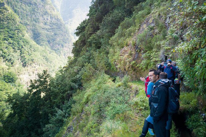 Hiking and Trekking tours in Madeira - Your morning setup: pickup from Funchal and the air-conditioned ride
