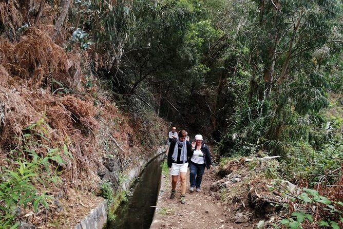 Hiking and Trekking tours in Madeira - Timing, pacing, and that practical reality: you’ll need snacks