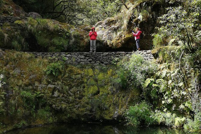 Hiking and Trekking tours in Madeira - Price and value: why $120.02 can make sense for a guided levada day