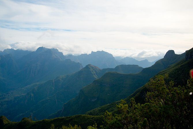 Hiking and Trekking tours in Madeira - Should you book this guided levada hike from Funchal?