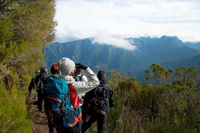 Hiking and Trekking tours in Madeira - Walking Madeira’s levadas with a guide who handles the hard part