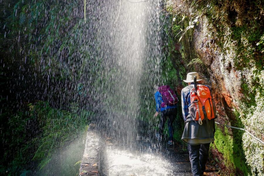 Hiking Madeira: Levada do Rei and the Majestic Laurissilva - Key things to know before you go