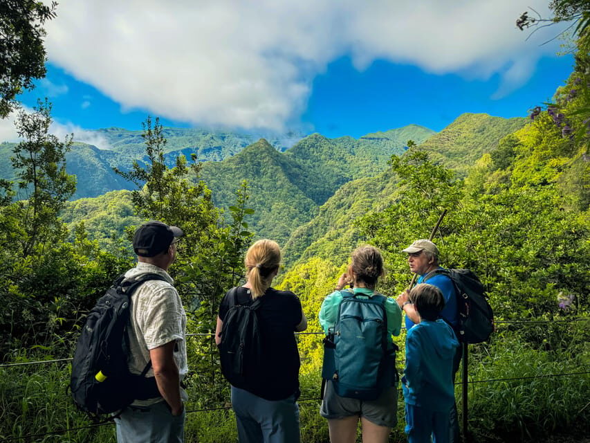 Hiking Madeira: Levada do Rei and the Majestic Laurissilva - Getting to São Jorge: the drive that sets the tone