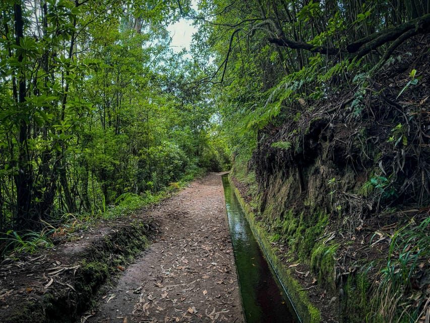 Hiking Madeira: Levada do Rei and the Majestic Laurissilva - The trail pace: why it feels doable for a 7-hour day