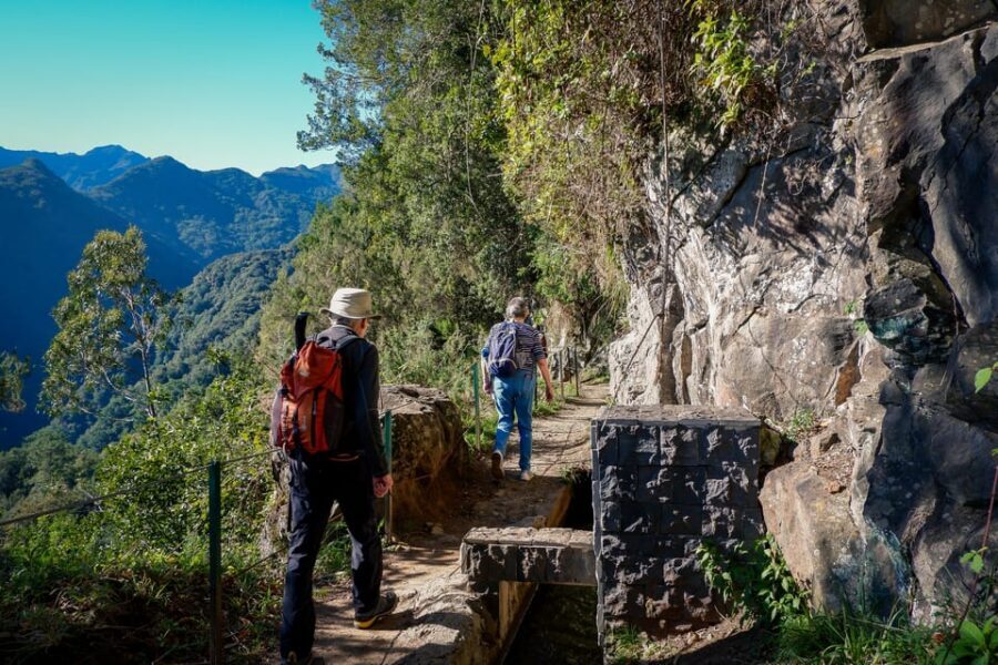 Hiking Madeira: Levada do Rei and the Majestic Laurissilva - What you’ll see (beyond views): herbs, medicinal plants, and real names