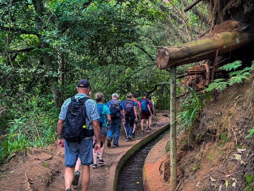 Hiking Madeira: Levada do Rei and the Majestic Laurissilva - What to bring: small gear choices make a big difference