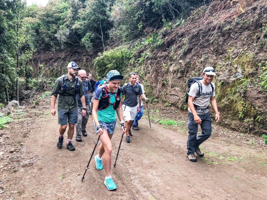 Hiking Trip with a Local - How pickup, timing, and trail length shape your day