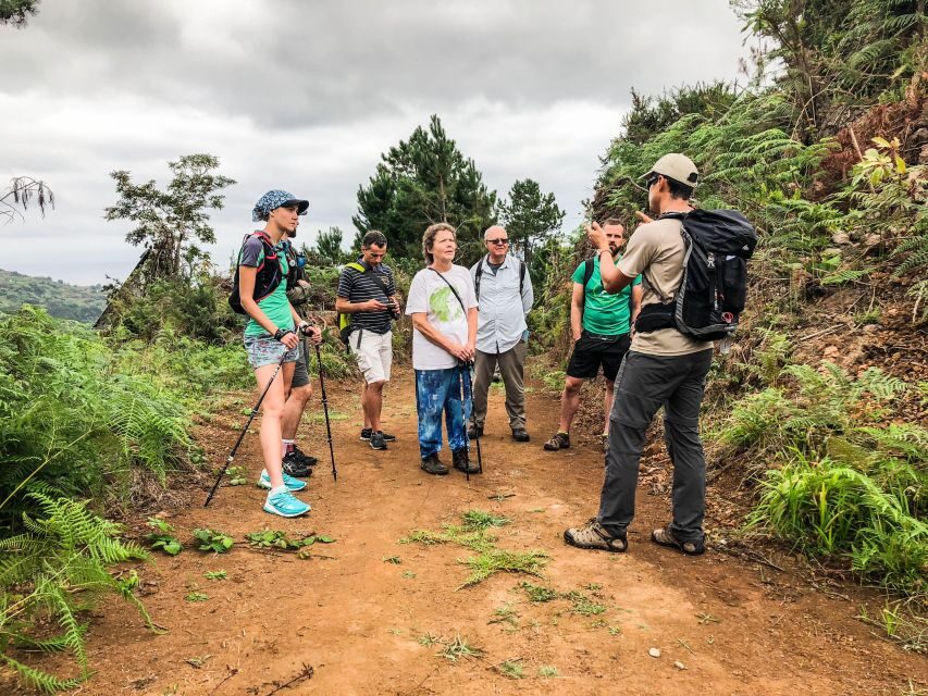Hiking Trip with a Local - Small-group calm: why the less-busy day plan is a big deal