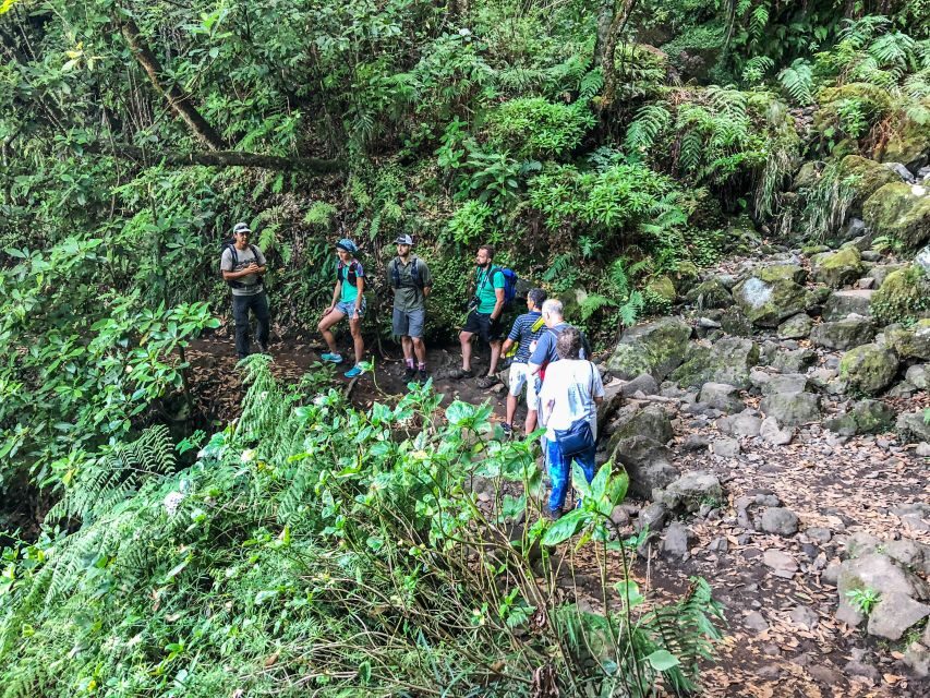 Hiking Trip with a Local - When you should think twice