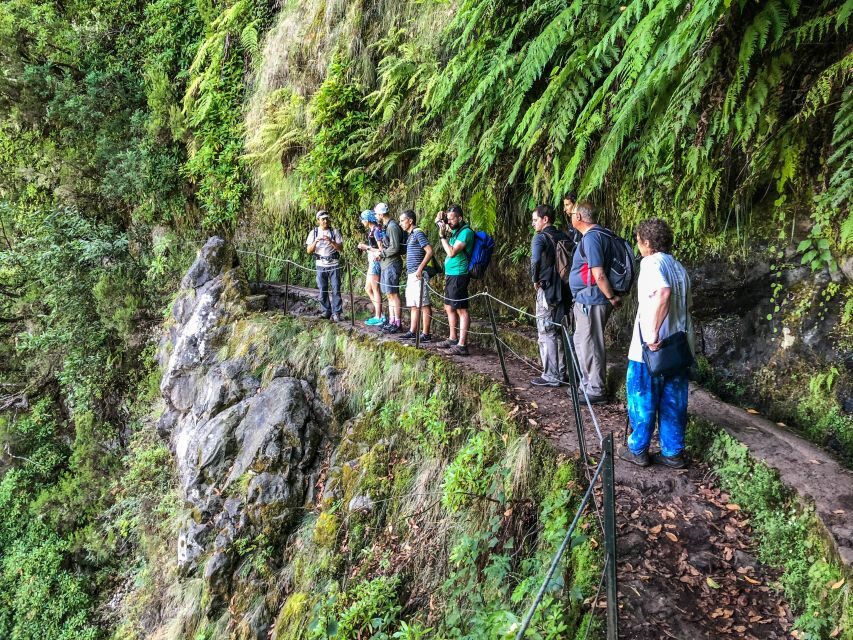 Hiking Trip with a Local - Laurissilva forest walks and why UNESCO time is more than a badge