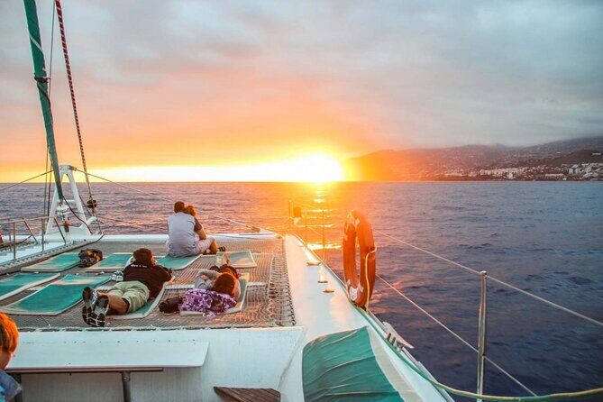 Hop-on Hop-off Bus Tour and Catamaran Whale & Dolphin Watching - The bus-and-boat logic: why this combo works in Funchal