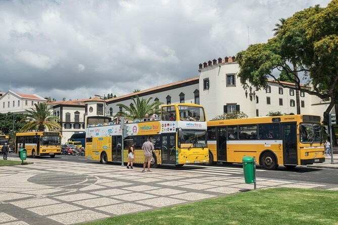 Hop-on Hop-off Bus Tour and Catamaran Whale & Dolphin Watching - Pico dos Barcelos and the Lido: where the views and the heat happen
