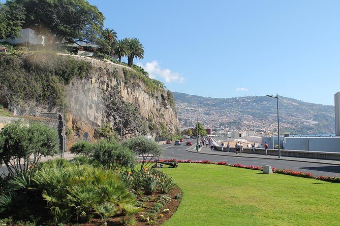 Hop-on Hop-off Bus Tour and Catamaran Whale & Dolphin Watching - Câmara de Lobos and the south coast style