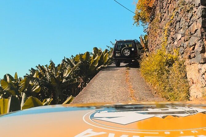 Jeep Safari 4x4 West Madeira - Porto Moniz - Fanal - Cabo Girão - Key highlights worth knowing