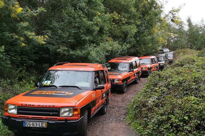 Jeep Safari Câmara de Lobos Cabo Girão Half Day Tour - Logistics and Comfort: Pickup Zones, Timing, and What to Wear