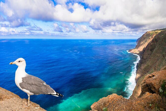 Jeep Safari in Southwest, Calheta and Ponta do Sol Full Day Tour - Calheta Lunch Stop: Optional Break, Real Value Choice