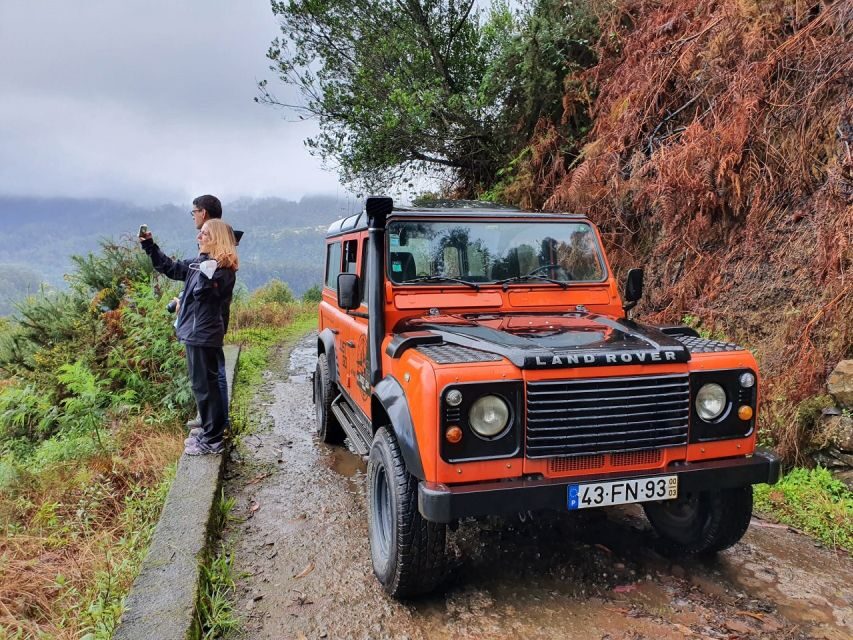 Jeep Tour Santana to East-Side - Laurissilva Forest and Ribeiro Frio: where Madeira looks ancient