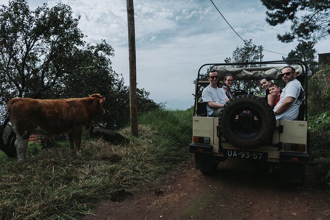 Jeep Tour To ,(Skywalk, Seixal, Porto Moniz, Fanal) - Fanal Forest: mossy trees, foggy mood, and UNESCO Laurissilva facts